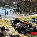 강서구-23 이미지