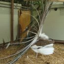 김용칠농장 이미지