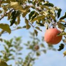 갈밭농장 이미지