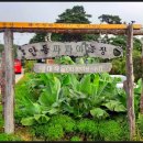 서주길(와룡면) 이미지