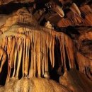 국내 여름 여행지 고수동굴 ~ 단양다누리아쿠아리움 이미지