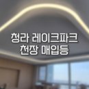 뎀코라이트
