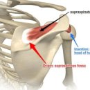영동헬스클럽 이미지