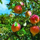 문경세재 이미지