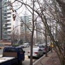 서울당서초등학교 이미지