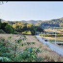 산약테마공원 티스토리