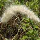 합천군산림조합 이미지