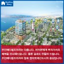 우진 메디칼 네이버블로그
