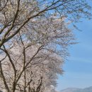 예산느티나무캠핑장 이미지