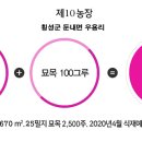 황금 농장 이미지