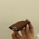 베이킹 팡팡 이미지