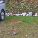 오수농장 | 뉴질랜드]<14일차> 뉴질랜드 캠핑카 여행 끝 / 크라이스트처치->시드니 / 에미레이트 항공 후기 / 시드니