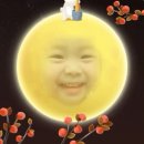 둥근달 이미지