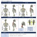 관악투엑스휘트니스주
