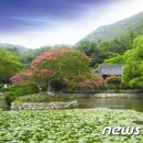 진도 운림산방 이미지