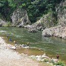 왕피천관광농원 이미지