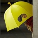 아이디어 우산 / 강아지 우산 이미지