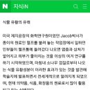 엠에스엠(MSM) 90정.1개월 이미지