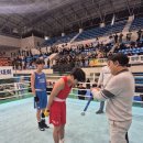 순천 엘리트복싱 이미지