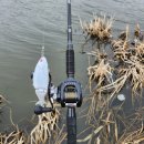 더블에이치바이오 이미지