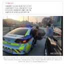 [2023수능]"고사장 착각했어요"…서울서 수험생 121명 경찰차로 이동 이미지