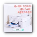 G4981 이미지