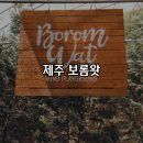 봉오리농장 | [제주] 제주 서귀포시 가볼만한곳 튤립축제 실내 정원 카페 보롬왓