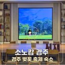 타이밍모텔 | 2026 경주벚꽃축제 소노캄경주 숙소 후기 — 개화, 만개시기 예상