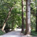 김용사 주차장 이미지