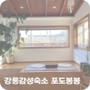 강릉감성숙소 포도봉봉