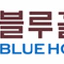 블루홀딩스(주)