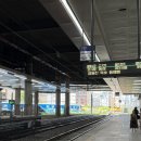 (주)묵호택시 | 강원도 묵호 당일치기 나홀로 떠나요오 💭