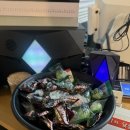 닭돌이와닭순이 이미지