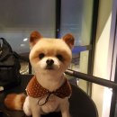 골프앤조이 이미지