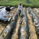 조엄농장 이미지