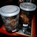 금형농장 이미지