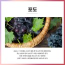 에스앤유서울비뇨기과 이미지