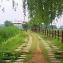 호수풍경 이미지