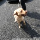 복수서로 이미지