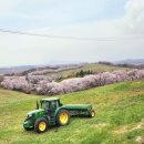 대신목장 이미지