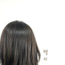 텔리뷰티 네이버블로그