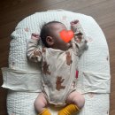 80 | 베베드피노 바디수트 80 후기 (착샷, 사이즈추천, 2개월 아기, 6kg 아기)