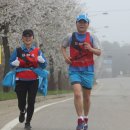 하성초등학교 이미지