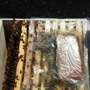 계상농장 이미지