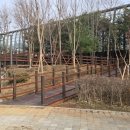 능골근린공원 이미지