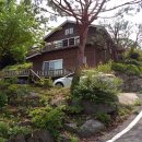 옥천면사무소 이미지