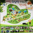 좋은농장 | 제주도 가볼 만한 곳 추천 데이트 코스, 아이 데려오기 좋은 곳 최남단 체험 감귤농장 체험 후기