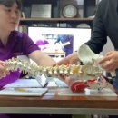 생생척척의원 이미지