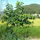 람세스한우농장 이미지