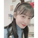 모모투어